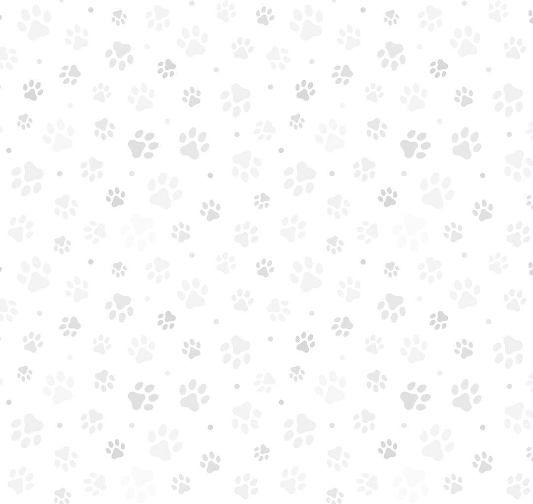 Charlotte Veterinarian