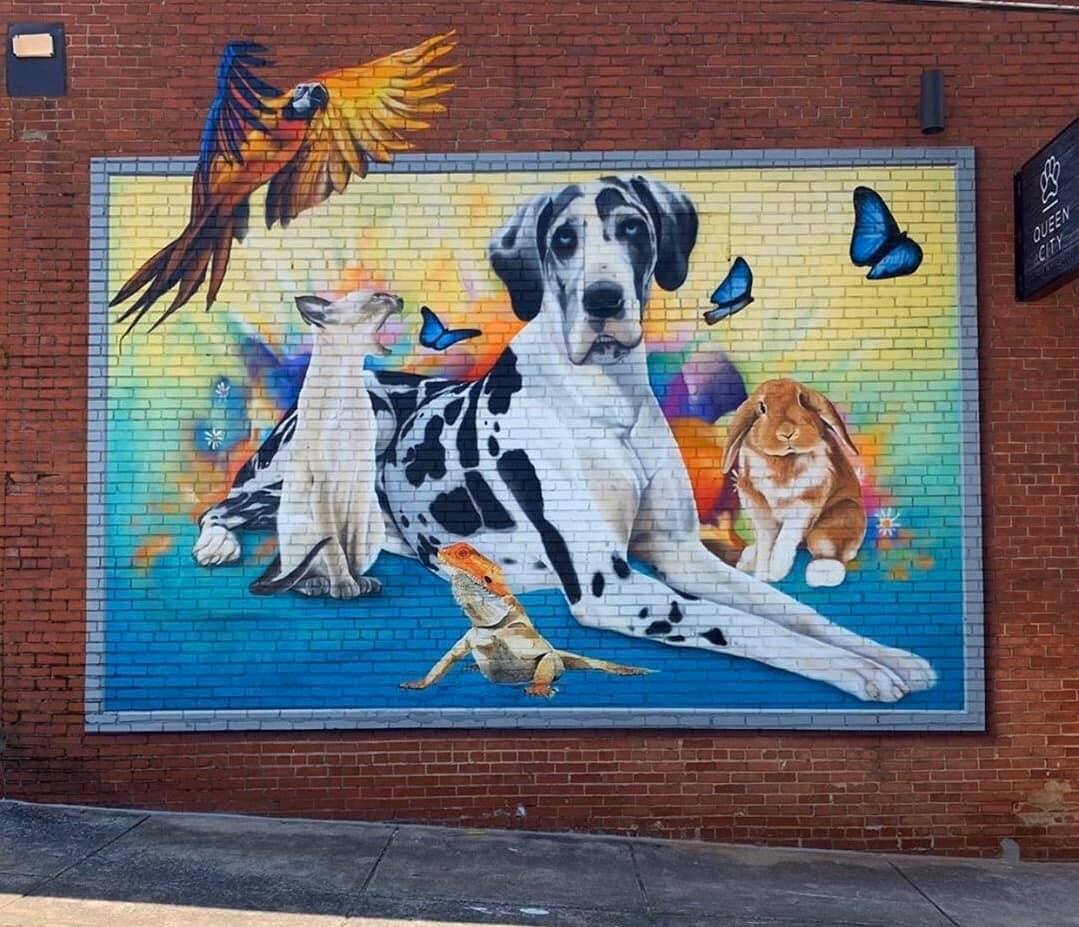Charlotte Veterinary Full Services