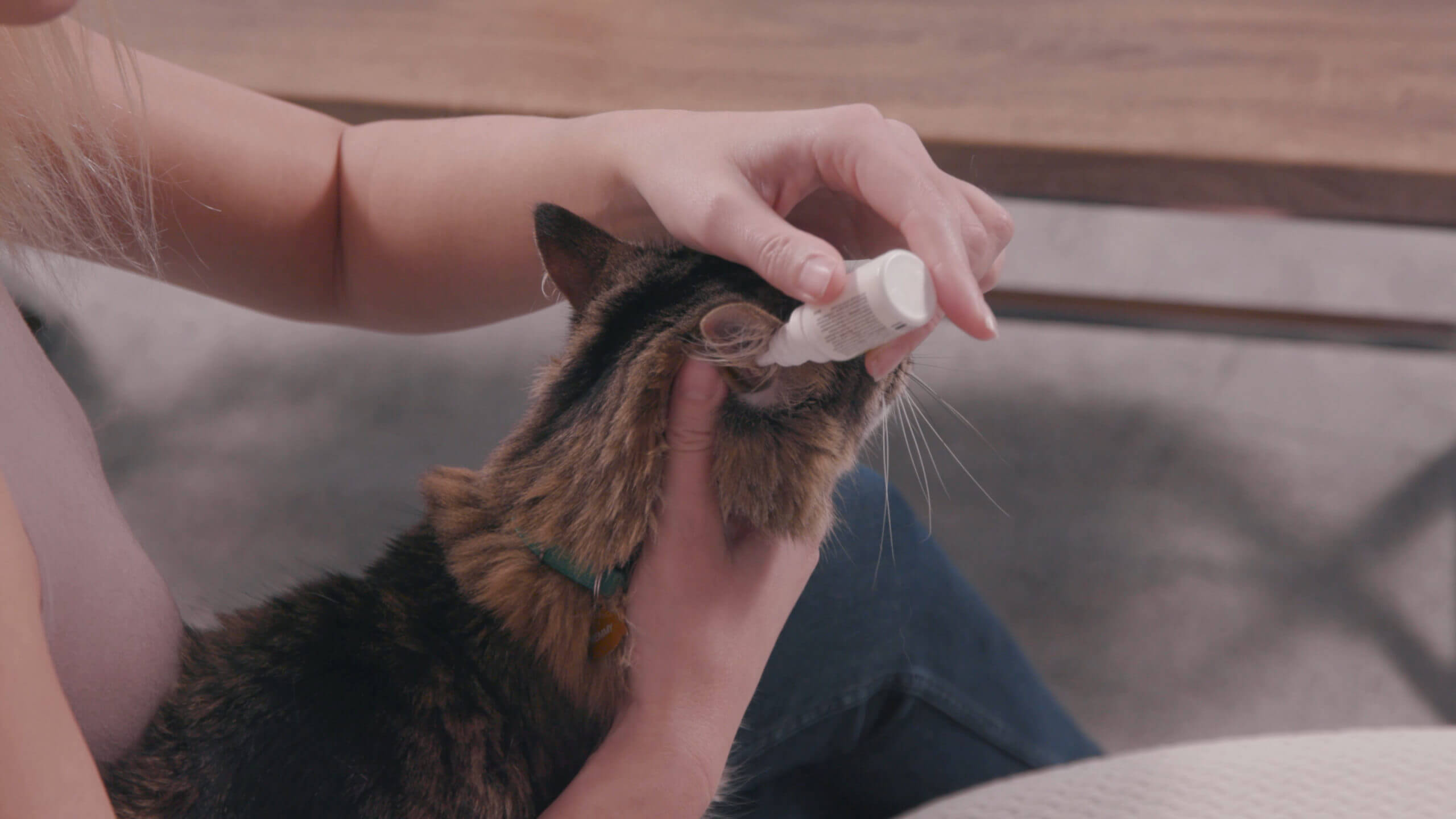 Cat Ear Drops