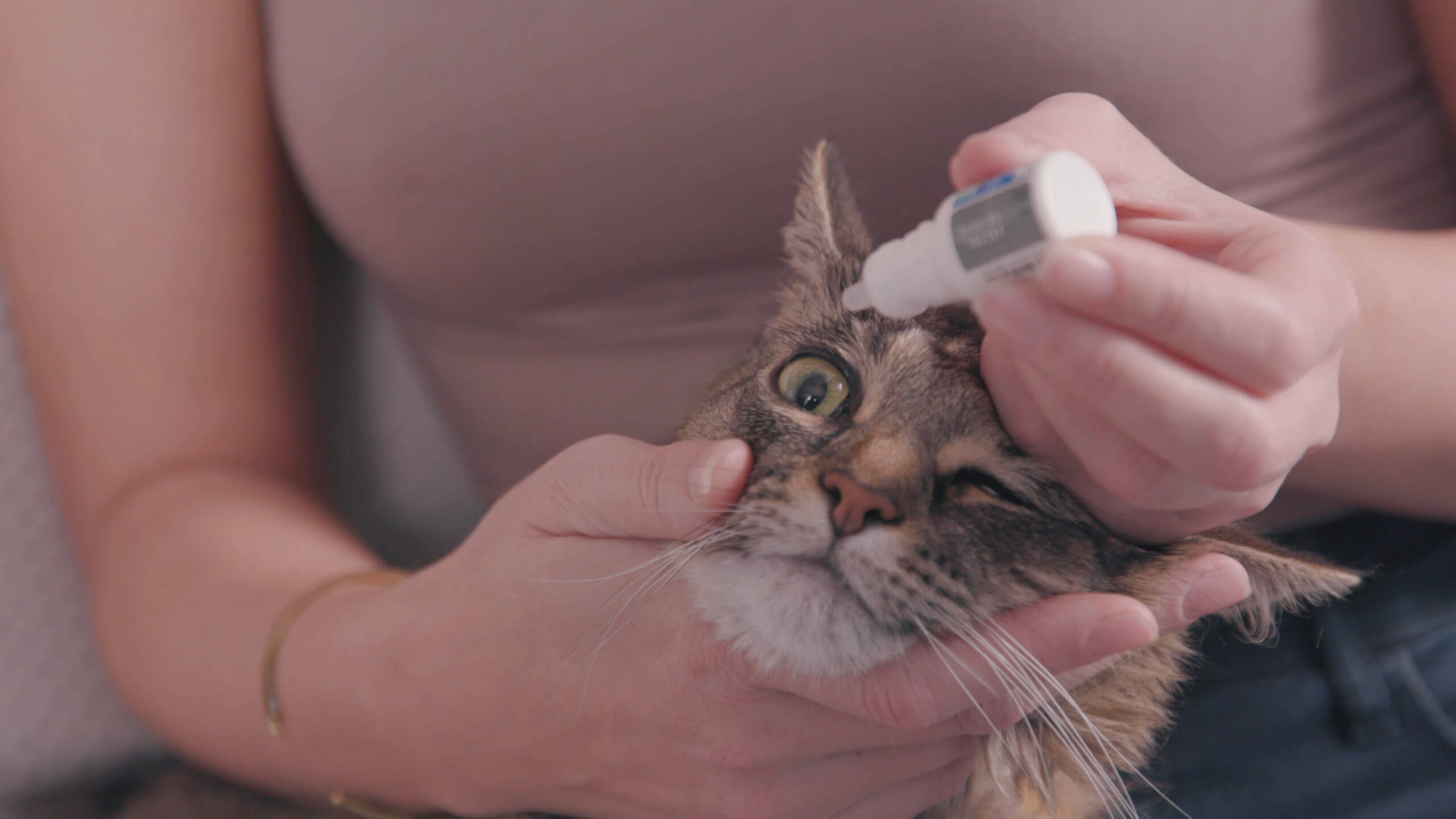 Cat Eye Drops