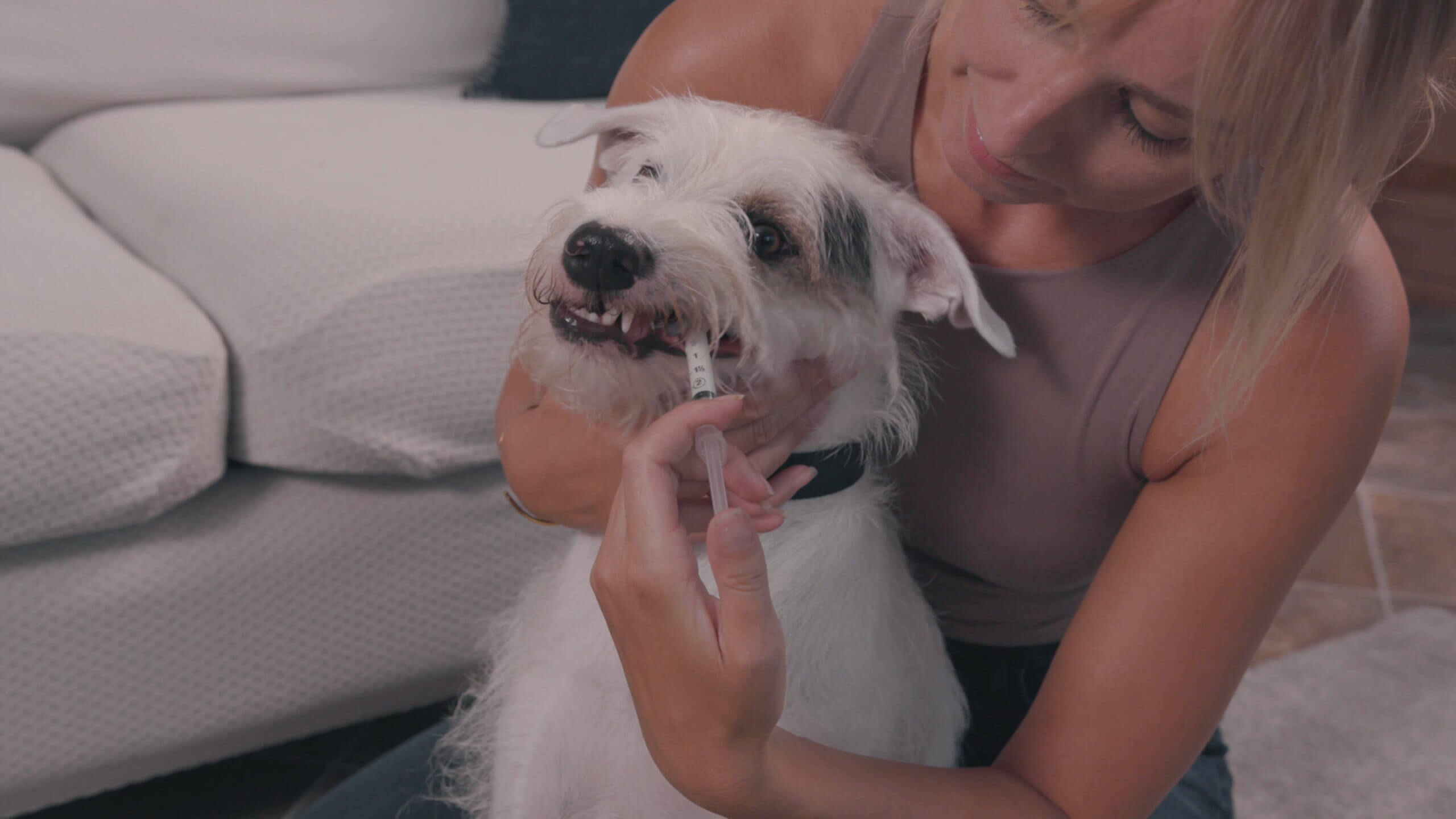 How to give your dog liquid medication