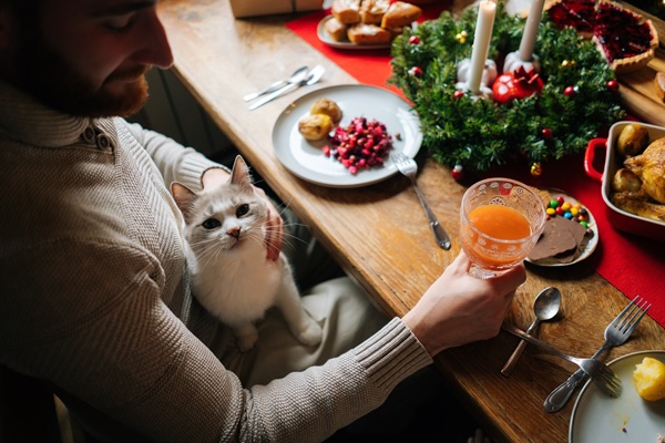 Festive Pet Treats