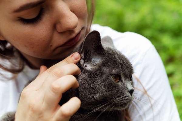 Cat Tick Prevention
