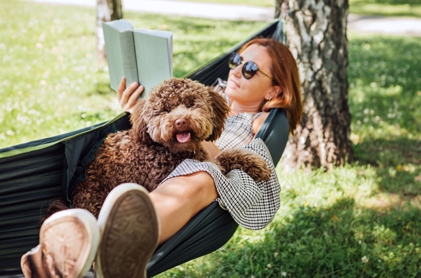 Pet Summer Safety