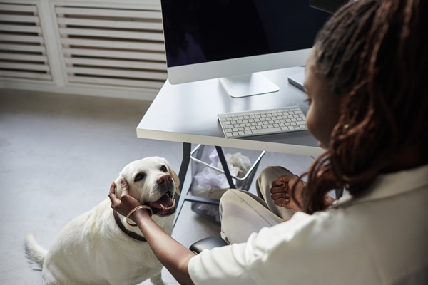 Dog at work day