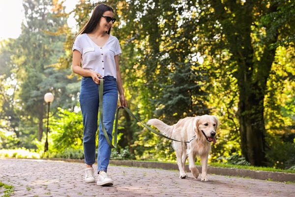 National Walk your Dog (or Cat) Week