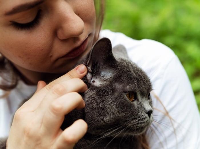 Bite Them Before They Bite You: Why Tick Prevention Matters More Than You Think