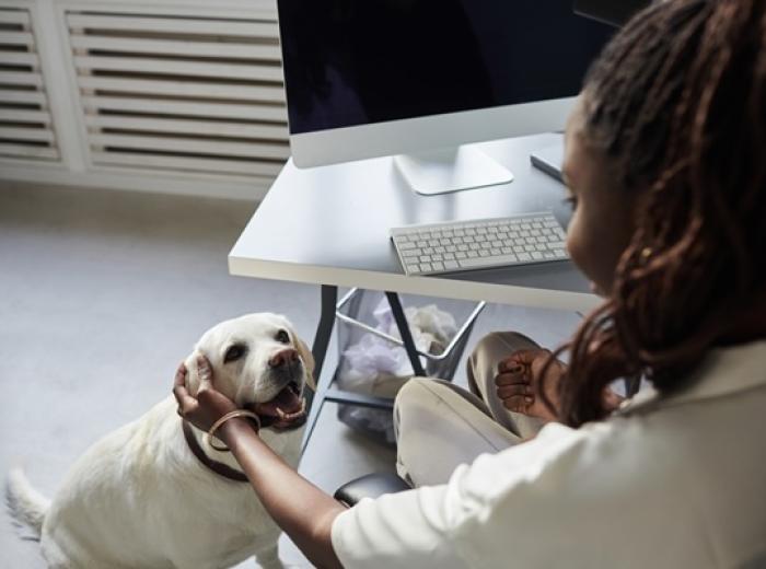 Take Your Dog to Work Day: Why Manners Matter More Than Ever