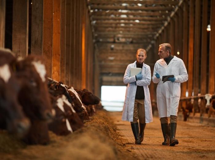 From Barn to Breakfast: How Veterinarians Keep our Food Safe